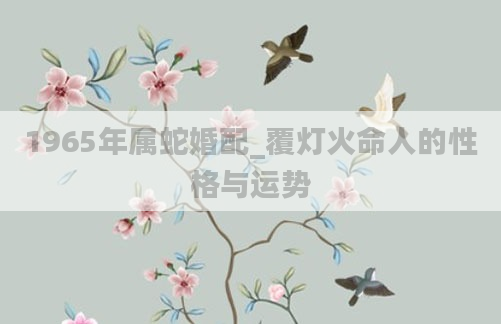 1965年属蛇婚配_覆灯火命人的性格与运势