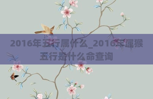 2016年五行属什么_2016年属猴五行是什么命查询