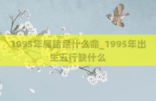 1995年属猪是什么命_1995年出生五行缺什么