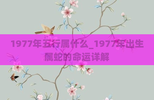 1977年五行属什么_1977年出生属蛇的命运详解