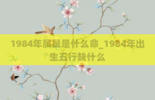 1984年属鼠是什么命_1984年出生五行缺什么