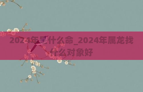 2024年是什么命_2024年属龙找什么对象好