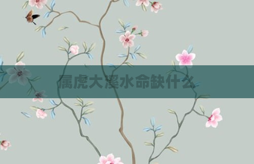 属虎大溪水命缺什么