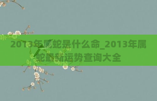 2013年属蛇是什么命_2013年属蛇最新运势查询大全