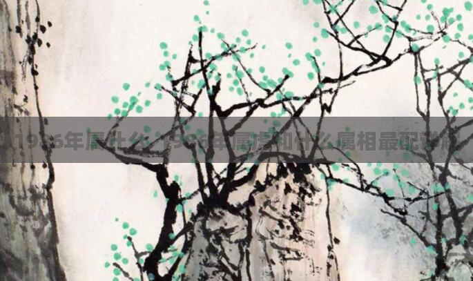 1986年属什么_1986年属虎和什么属相最配详解