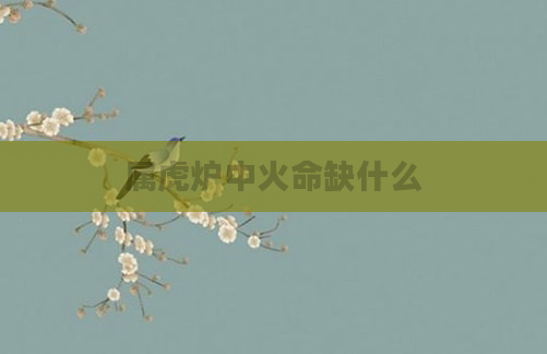 属虎炉中火命缺什么