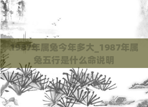 1987年属兔今年多大_1987年属兔五行是什么命说明