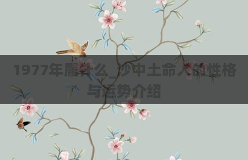 1977年属什么_沙中土命人的性格与运势介绍