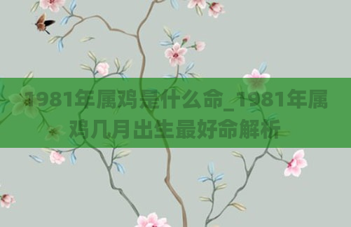 1981年属鸡是什么命_1981年属鸡几月出生最好命解析