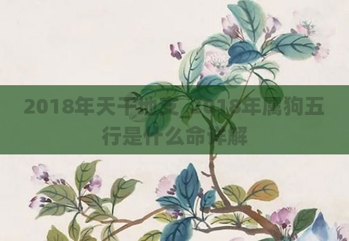 2018年天干地支_2018年属狗五行是什么命详解