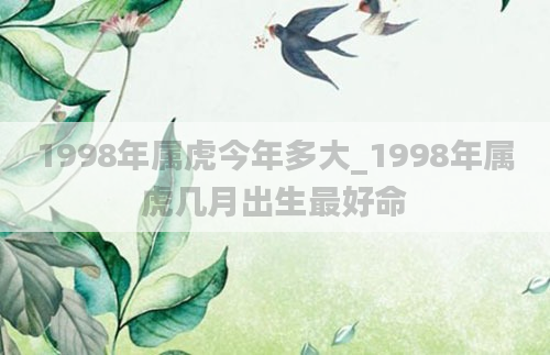 1998年属虎今年多大_1998年属虎几月出生最好命
