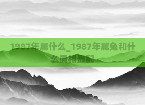1987年属什么_1987年属兔和什么属相最配