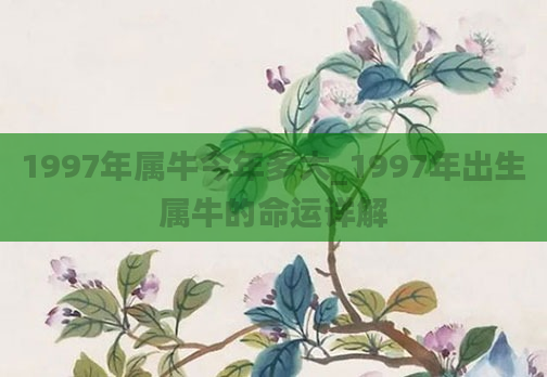 1997年属牛今年多大_1997年出生属牛的命运详解