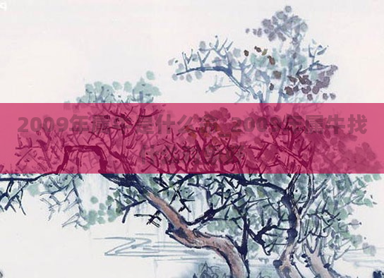 2009年属牛是什么命_2009年属牛找什么对象好