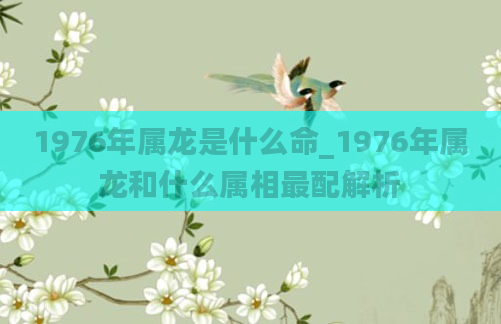 1976年属龙是什么命_1976年属龙和什么属相最配解析