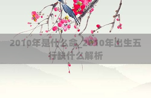2010年是什么命_2010年出生五行缺什么解析