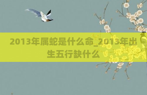 2013年属蛇是什么命_2013年出生五行缺什么