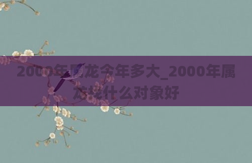 2000年属龙今年多大_2000年属龙找什么对象好