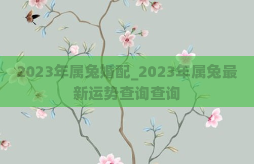 2023年属兔婚配_2023年属兔最新运势查询查询