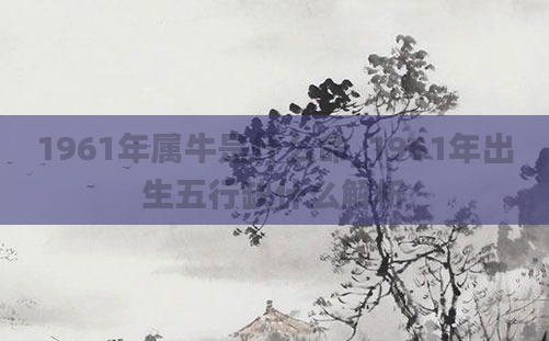 1961年属牛是什么命_1961年出生五行缺什么解析