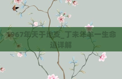 1967年天干地支_丁未年羊一生命运详解
