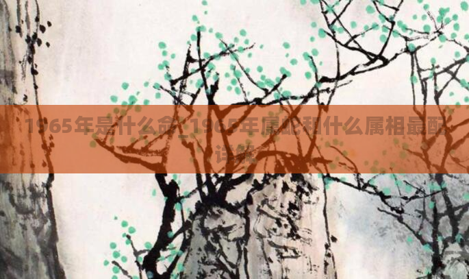 1965年是什么命_1965年属蛇和什么属相最配详解