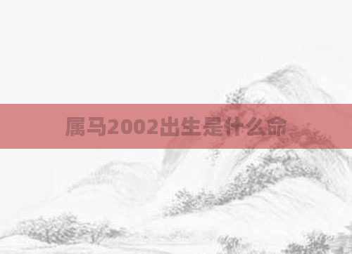 属马2002出生是什么命