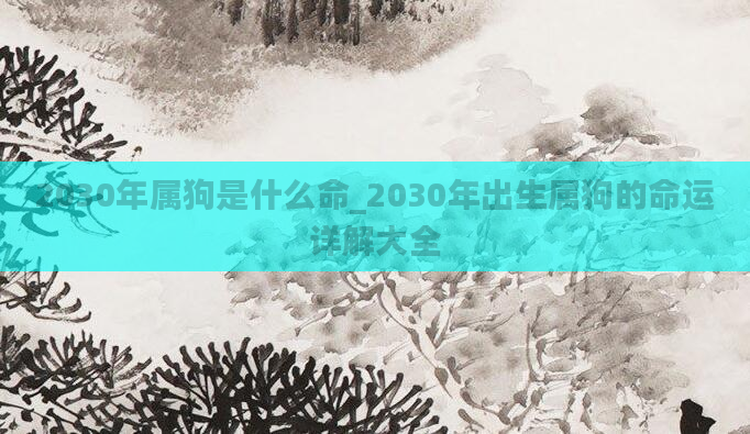 2030年属狗是什么命_2030年出生属狗的命运详解大全