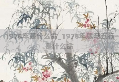 1978年是什么命_1978年属马五行是什么命