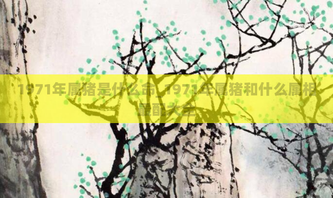 1971年属猪是什么命_1971年属猪和什么属相最配大全