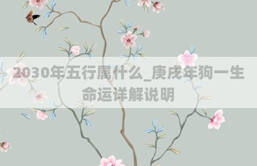 2030年五行属什么_庚戌年狗一生命运详解说明