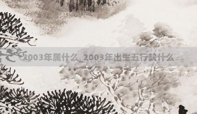 2003年属什么_2003年出生五行缺什么