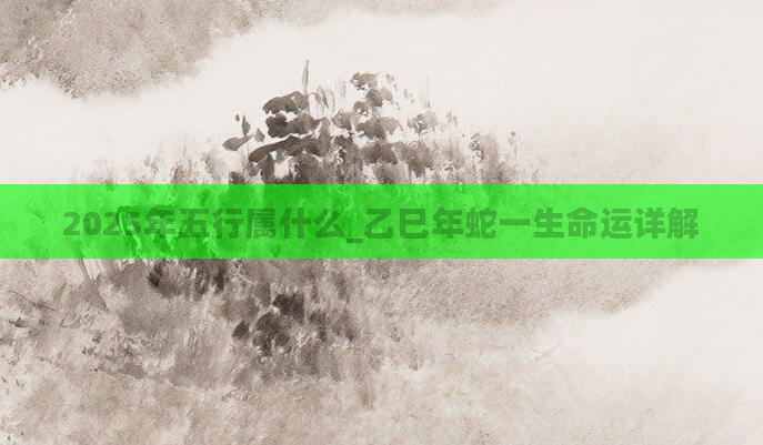 2025年五行属什么_乙巳年蛇一生命运详解