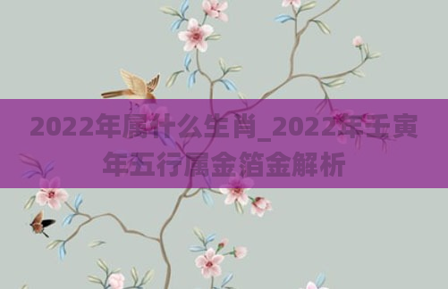 2022年属什么生肖_2022年壬寅年五行属金箔金解析