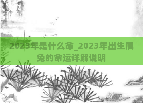 2023年是什么命_2023年出生属兔的命运详解说明