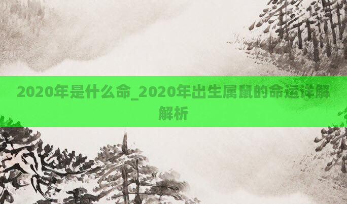 2020年是什么命_2020年出生属鼠的命运详解解析