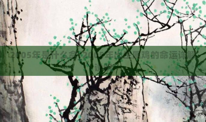 2005年是什么命_2005年出生属鸡的命运详解说明