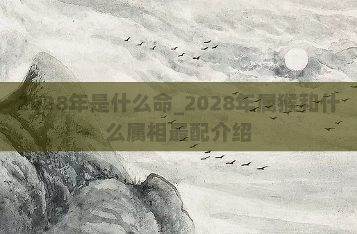 2028年是什么命_2028年属猴和什么属相最配介绍