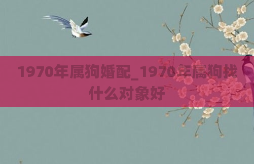 1970年属狗婚配_1970年属狗找什么对象好