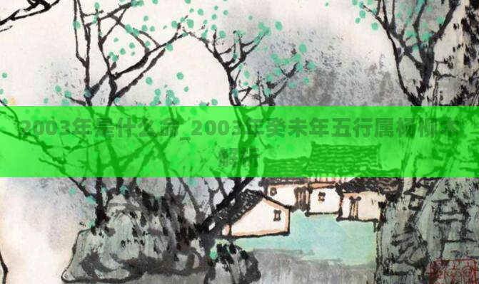 2003年是什么命_2003年癸未年五行属杨柳木解析