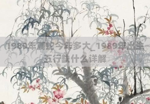 1989年属蛇今年多大_1989年出生五行缺什么详解