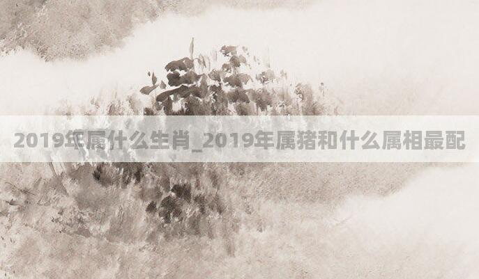 2019年属什么生肖_2019年属猪和什么属相最配