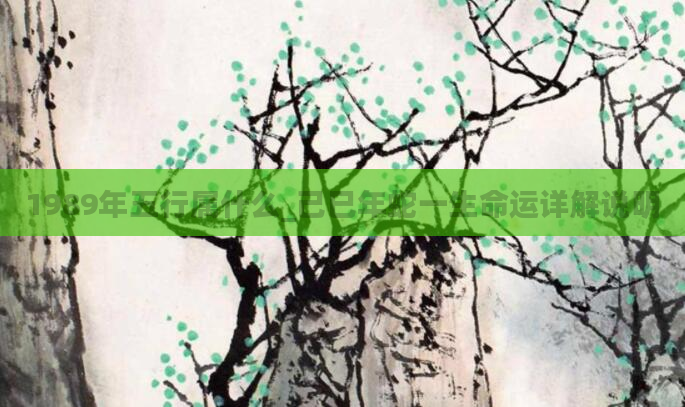 1989年五行属什么_己巳年蛇一生命运详解说明