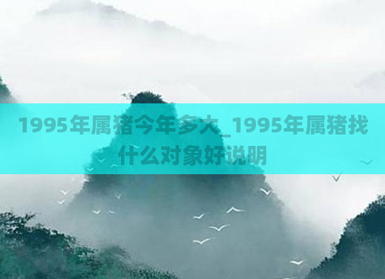 1995年属猪今年多大_1995年属猪找什么对象好说明