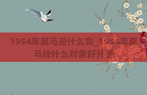1954年属马是什么命_1954年属马找什么对象好分析