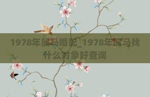 1978年属马婚配_1978年属马找什么对象好查询