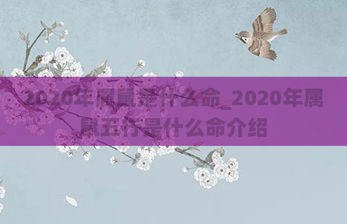 2020年属鼠是什么命_2020年属鼠五行是什么命介绍