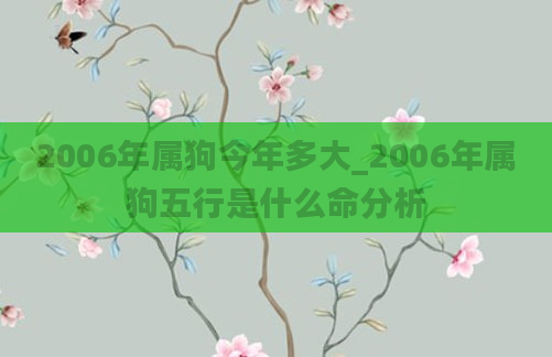 2006年属狗今年多大_2006年属狗五行是什么命分析