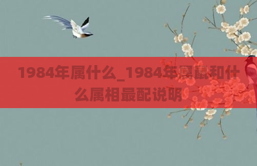 1984年属什么_1984年属鼠和什么属相最配说明
