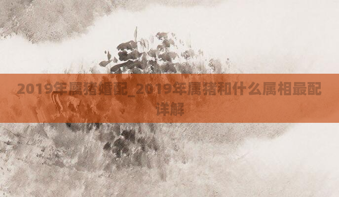 2019年属猪婚配_2019年属猪和什么属相最配详解